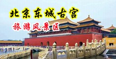 日本美女被黑人的粗鸡巴插的嗷嗷叫中国北京-东城古宫旅游风景区